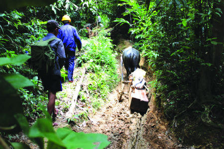 Theo dấu “lâm tặc” mục kích cuộc “xẻ thịt” rừng Thù Lù