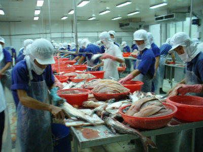 Ba khâu đột phá phát triển kinh tế - xã hội TP Cần Thơ