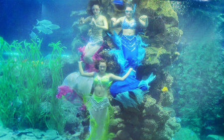 Vinpearlland đạt chứng nhận khu vui chơi giải trí đẳng cấp quốc tế IAAPA