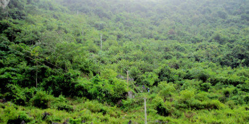 Cơ cực bản vùng cao trên đỉnh núi Lũng Mật