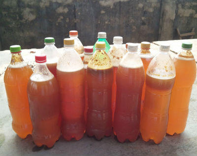 Băng rừng theo chân “thợ” đi “hái lộc”