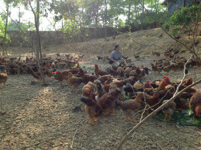 Bắc Giang nỗ lực đương đầu với khó khăn, thách thức