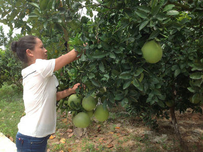 Bắc Giang nỗ lực đương đầu với khó khăn, thách thức