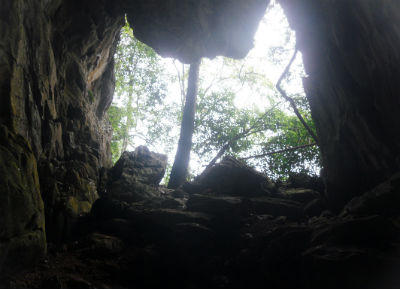 Lạnh gáy nghe chuyện “sứ giả cõi âm” báo điềm gở