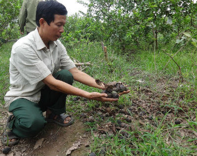 Lò gạch thủ công thiêu rụi nông sản, “trêu ngươi” hai xã