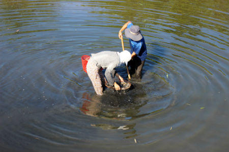 Sông Loan mùa nước dữ