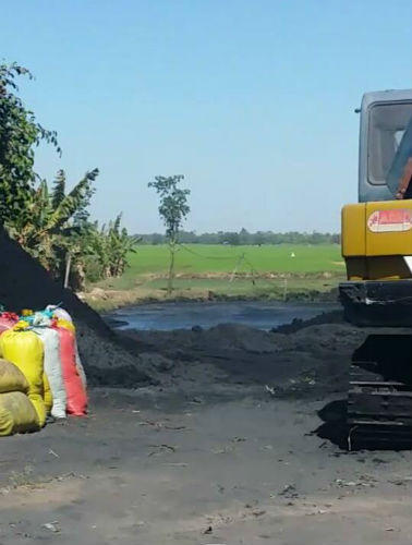 Cá chết hàng loạt ở An Giang do doanh nghiệp xả thải?