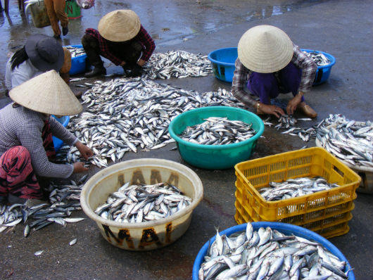 Trải nghiệm du lịch tại làng chài nghèo Bình Thuận