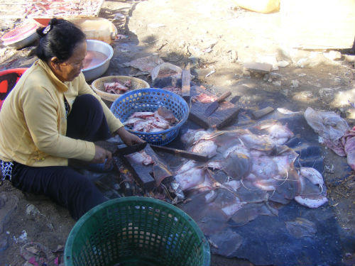 Trải nghiệm du lịch tại làng chài nghèo Bình Thuận