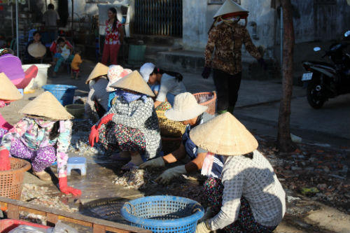 “Lộc biển” đầu xuân trên làng chài Phước Tỉnh