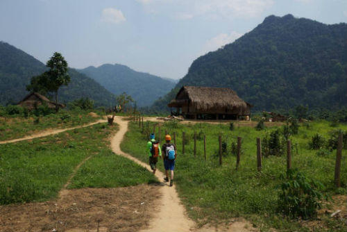 Kiểm lâm bị tấn công trong vùng lõi rừng Phong Nha