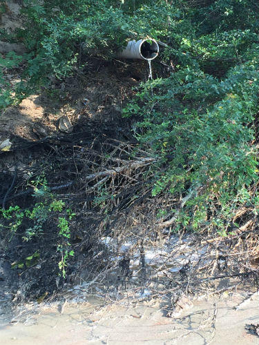 Nhiều hộ nuôi trồng thủy hải sản Khánh Hòa đang khóc