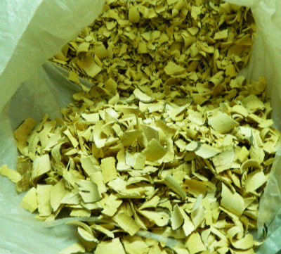 Việt kiều bị bệnh viện “trả về”, khỏi bệnh nhờ bài thuốc của bà lang xứ Nẫu