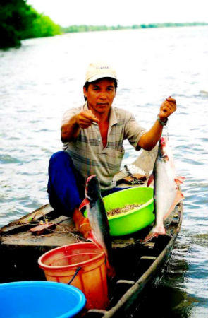 Sông Tiền mùa hái lộc giời