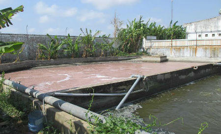 Trắng đêm “mục sở thị” doanh nghiệp “bức tử” môi trường