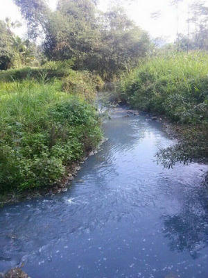 Chính quyền bỏ mặc dân sống trong ô nhiễm