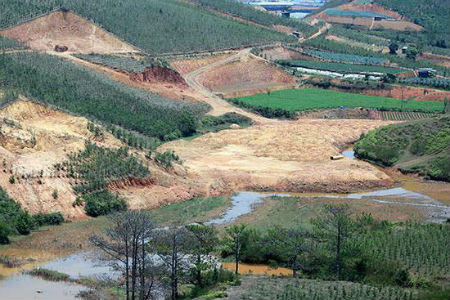 Lâm Đồng: Tiếng kêu cứu từ hồ Đan Kia - Suối Vàng