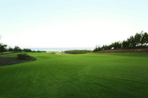 Chủ tịch FLC tiết lộ bí quyết triển khai các dự án "thần tốc"