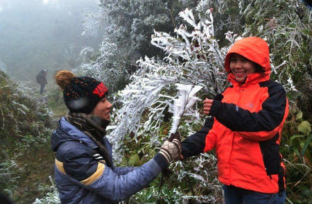 Nắng Hà Nội nhớ tuyết Sa Pa