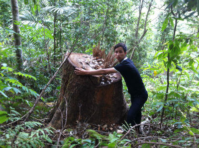 Nhức nhối nạn khai thác rừng trái phép tại huyện Tumơrông, Kon Tum
