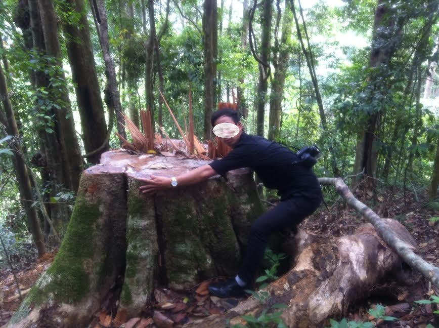 Kon Tum: Phó Chủ tịch huyện Tumơrông theo phóng viên đi xem rừng "chảy máu"