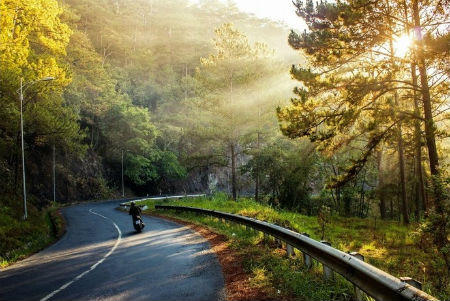 Đà Lạt đi ngang để nhớ dọc dài