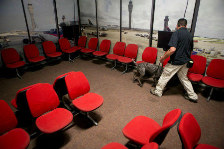 Mỹ huấn luyện chó nghiệp vụ rà soát bom tự chế ở sân bay