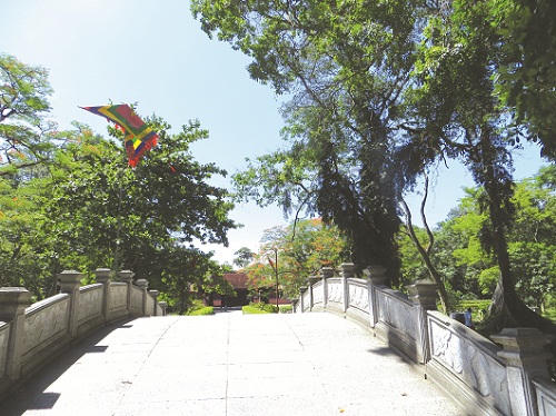 Huyền thoại “chuyện tình” cây đa - thị ở đất Lam Kinh