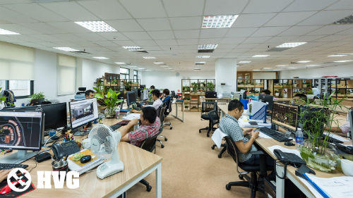 HVG Office - Rừng trong văn phòng