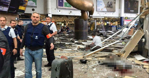 Châu Âu: Vì sao “Sói đơn độc” tung hoành đe dọa?