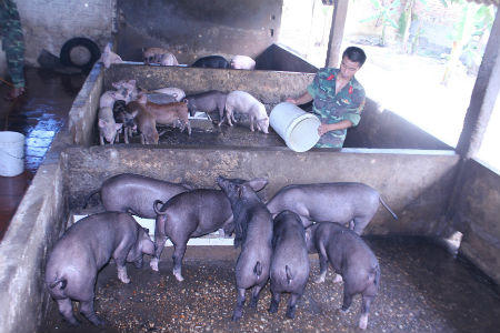 “Thực túc binh cường” ở một đơn vị vận tải