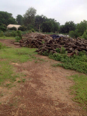 Dự án nghĩa trang Liên Đài Viên: Yếu tố “môi trường” được giải quyết như thế nào?