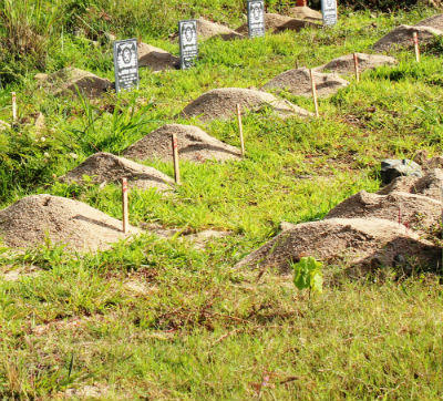 Khánh Hòa: Phó Thủ tướng chỉ đạo xác minh, làm rõ vụ DN di dời hàng trăm ngôi mộ lấy mặt bằng