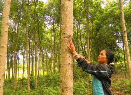 Đổi thay kỳ diệu giữa đại ngàn Trường Sơn