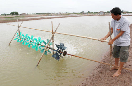 Bạc Liêu trên hành trình giảm nghèo