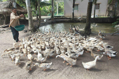 Bạc Liêu trên hành trình giảm nghèo