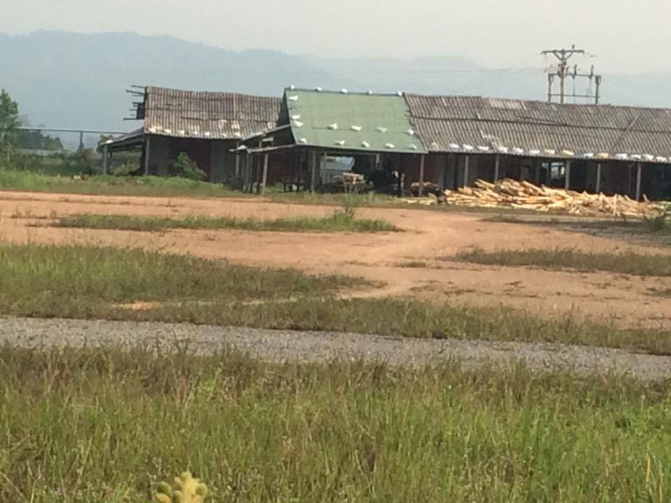 San phẳng đất rừng xây nhà máy gỗ dăm trái phép