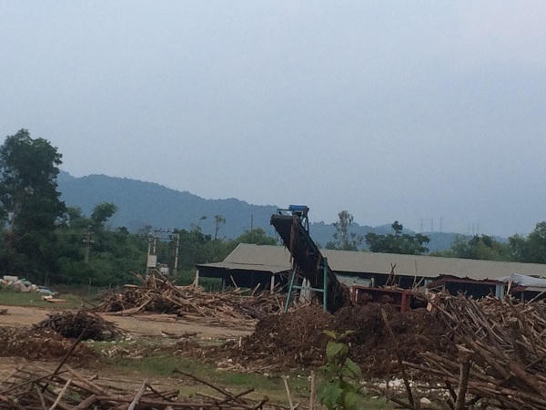 San phẳng đất rừng xây nhà máy gỗ dăm trái phép