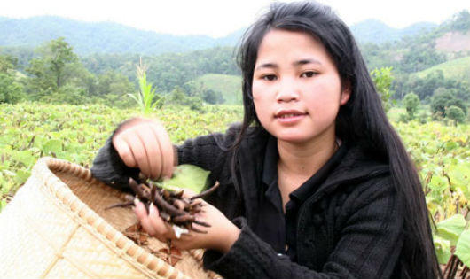 Cô gái dân tộc giành học bổng danh giá trên đất Mỹ