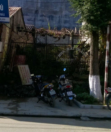 Lào Cai: Gian nan hành trình đòi đất của cụ bà 85 tuổi