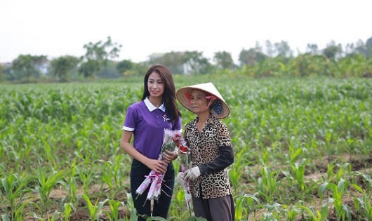 888 Đóa Hồng  - Tặng Phụ nữ Vĩnh Phúc