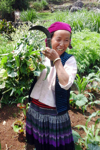 Tuyệt sắc Mã Pí Lèng