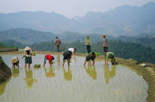 Ân nghĩa với người dân