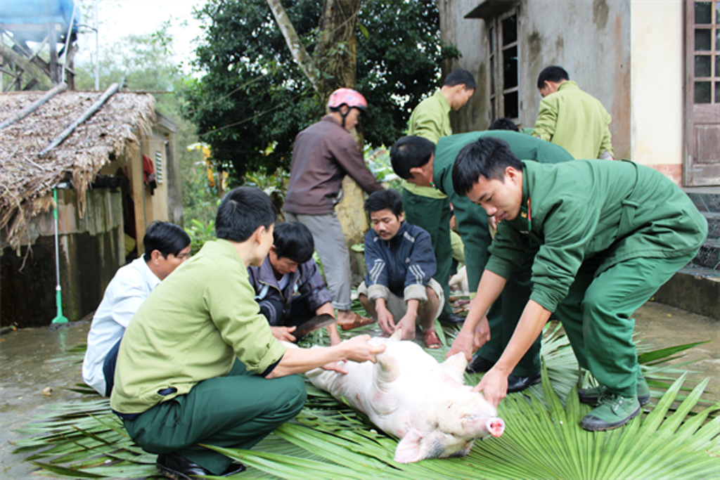 Đồn Bản Giàng lo Tết sớm cho tộc người có nguy cơ tuyệt chủng