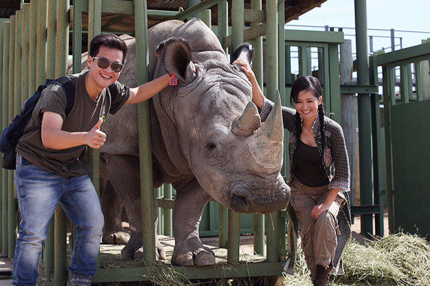 Nghệ sĩ Việt chung tay bảo vệ động vật hoang dã