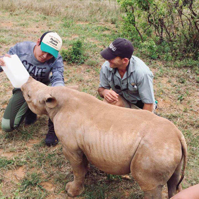 Nghệ sĩ Việt chung tay bảo vệ động vật hoang dã