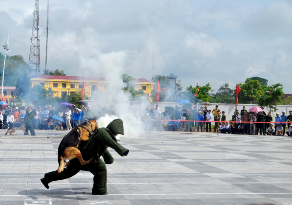 Lừng danh võ thuật biên phòng và chó chiến đấu