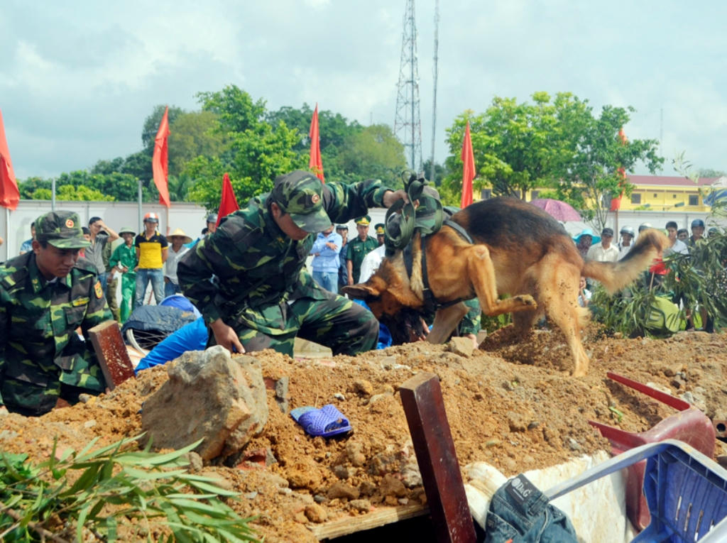 Lừng danh võ thuật biên phòng và chó chiến đấu