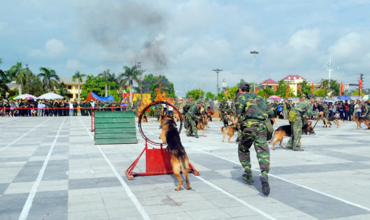 Lừng danh võ thuật biên phòng và chó chiến đấu