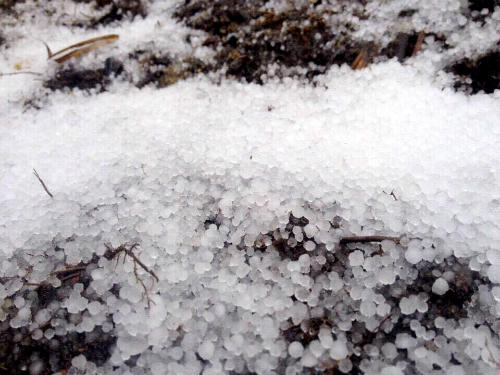 Bất ngờ xuất hiện mưa băng tại đỉnh Fansipan Sa Pa